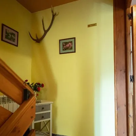 Estudio Calle Alta Daire Plan