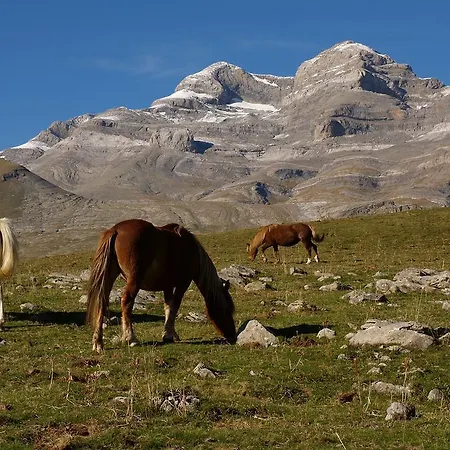 Daire Estudio Calle Alta Plan