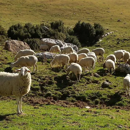 Estudio Calle Alta *