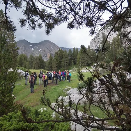 Estudio Calle Alta Daire *