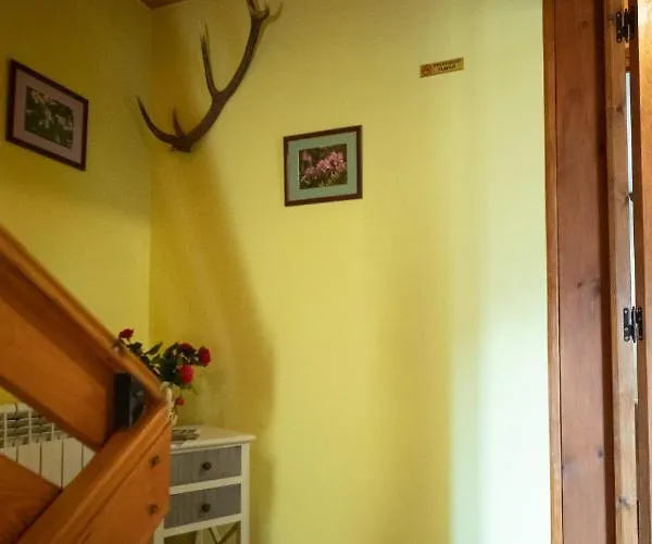 Estudio Calle Alta Lägenhet Plan