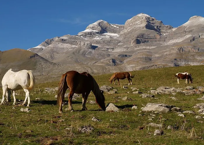 Lägenhet Estudio Calle Alta Plan