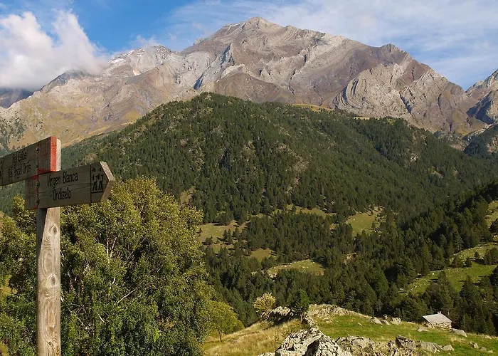 Estudio Calle Alta * Plan