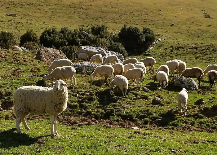 Estudio Calle Alta *