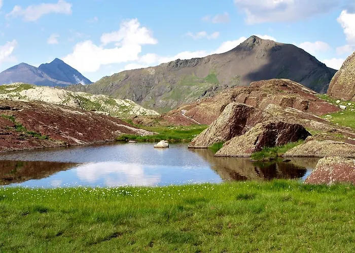 Estudio Calle Alta Plan