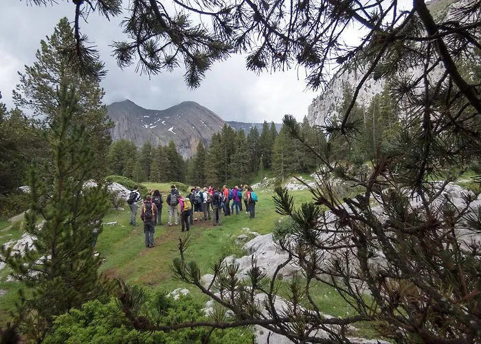 Estudio Calle Alta Lägenhet *